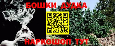 прущие грибы Краснодар