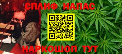 прущие грибы Краснодар