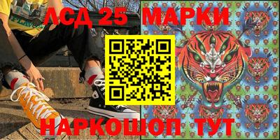 прущие грибы Краснодар