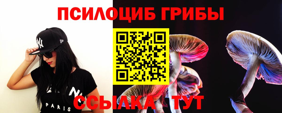 Златоуст  Псилоцибиновые грибы GOLDEN TEACHER  Вход с VPN 