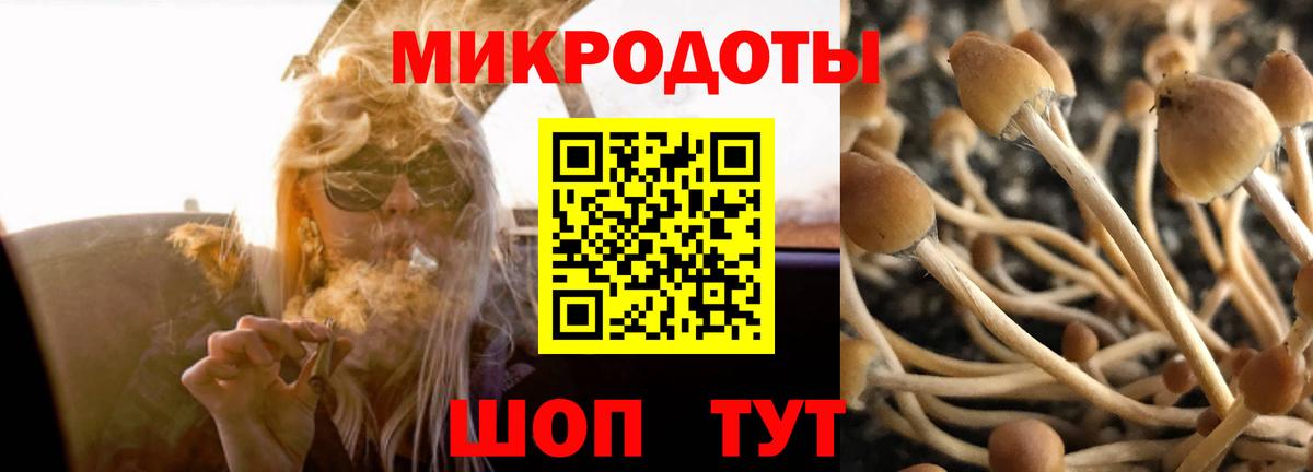 Галлюциногенные грибы мицелий Златоуст